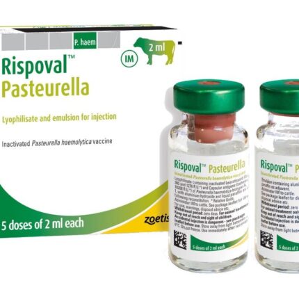 Buy Rispoval Pasteurella 25d Injection Online