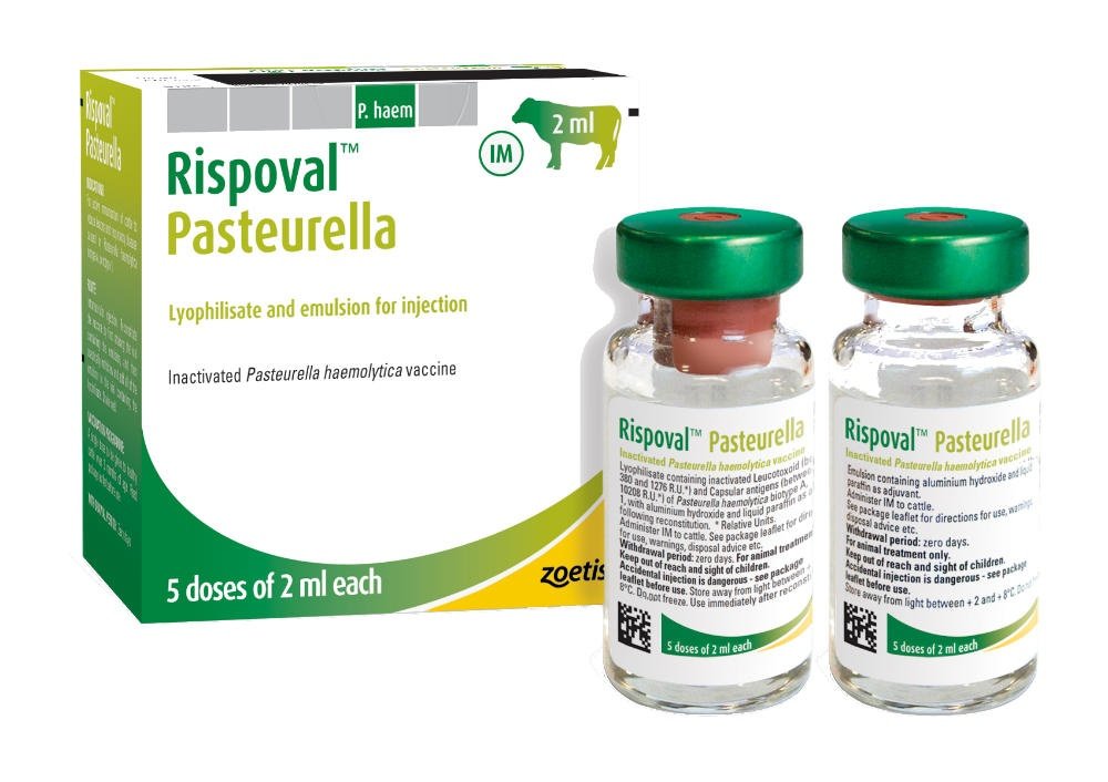 Rispoval Pasteurella 25d Injection Buy Rispoval Pasteurella 25d Injection Online