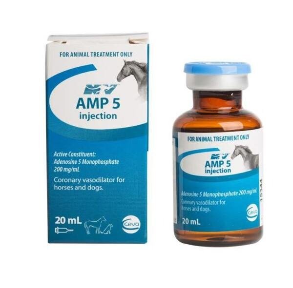AMP-5-Injection-20ml.jpg