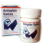 Antoplex Gallos for Sale Online | Buy Poultry Vitamin Supplement | Pet Well Global