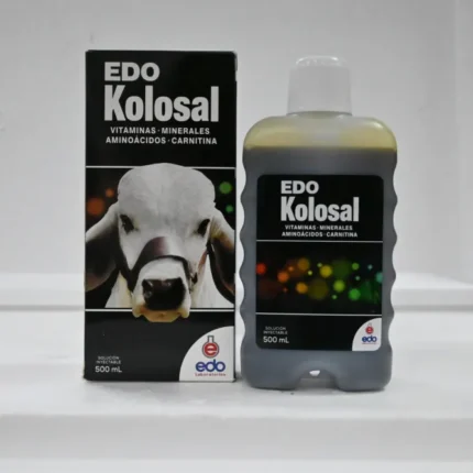 Buy Edo Kolosal Online - Edo Kolosal For Sale