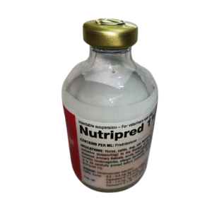 Nutripred 1% Buy Nutripred 1% Injectable Suspension Online