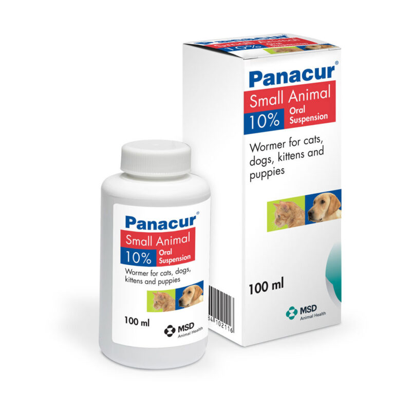 Buy Panacur for Dogs Online