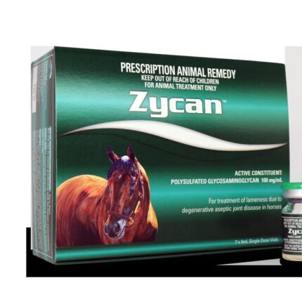 Buy Zycan Injection Online | Equine Joint Health Treatment | Pet Well Global