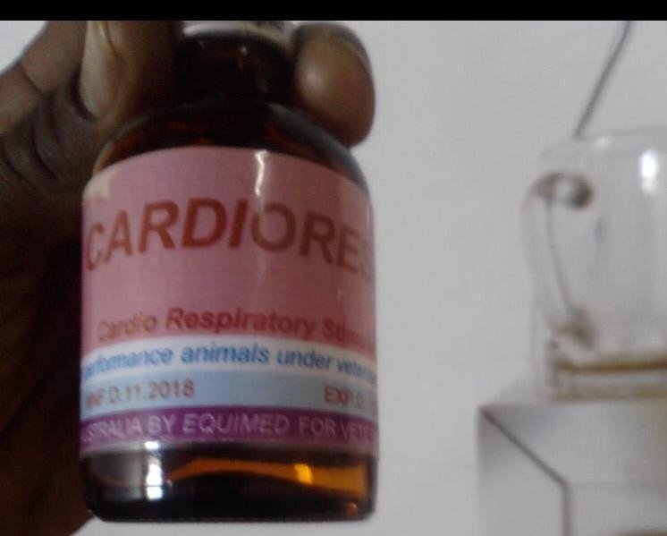 Cardiores.jpg