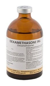Dexamethasone injection Buy Dexamethasone Injection Online | Veterinary Corticosteroid | Pet Well Global