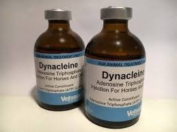 Dynacleine.jpg