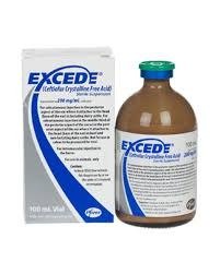 Excede-Injectable.jpg