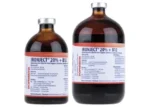 Buy Ironject 20% + B12 Injection Online