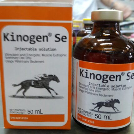 Buy Kinogen SE Injection 100mg/4ml Injection Online | Pet Well Global