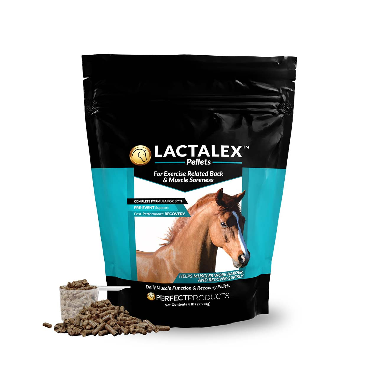 Lactalex Equine Muscle Support Supplement Buy Lactalex Equine Muscle Support Supplement Online