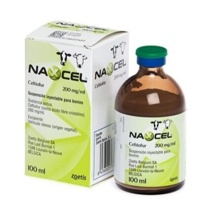 Buy Naxcel 200mg Injection Online