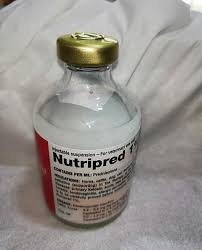 Nutripred.jpg