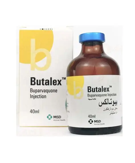 Butalex 40ml Injection Buy Butalex 40ml Injection Online - Butalex 40ml Injection For Sale Online