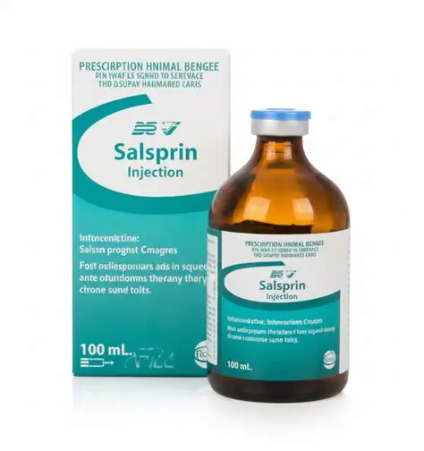 Salsprin Injection for Sale | Pain & Inflammation Support | Pet Well Global Salsprin Injection for Sale | Pain & Inflammation Support | Pet Well Global