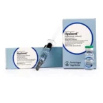Buy Hyalovet Injection (Hyaluronate Sodium) 20mg/2mL Online