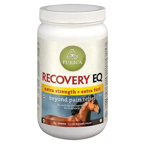 Buy Recovery EQ Powder 2.2 - Premium Equine Recovery Supplement Buy Recovery EQ Powder 2.2 - Premium Equine Recovery Supplement