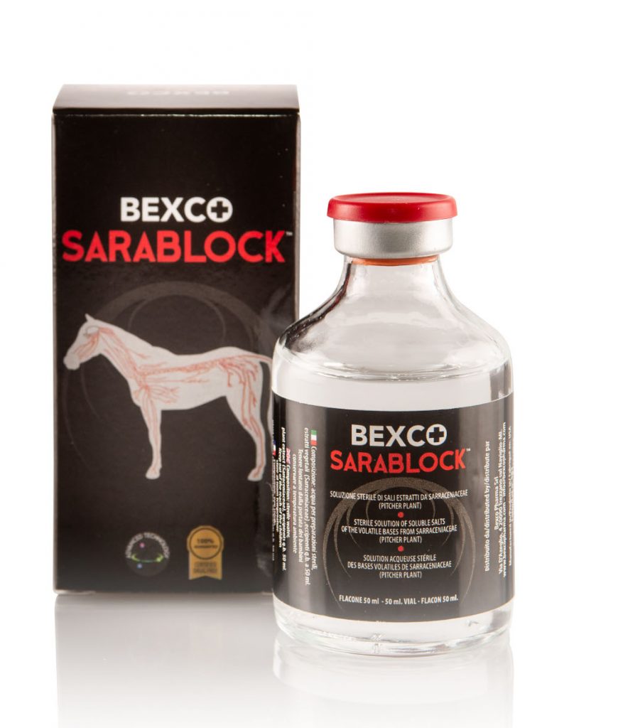 Buy Bexco Sarablock Online | Veterinary Muscle & Joint Support | Pet Well Global Buy Bexco Sarablock Online | Veterinary Muscle & Joint Support | Pet Well Global