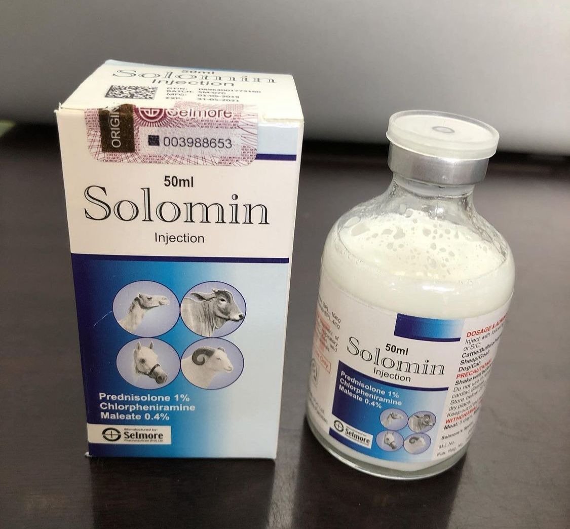 SOLOMIN.jpg