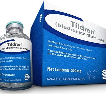 Buy Tildren for Horses