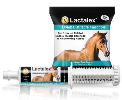Web_Performance_Lactalex_Group.jpg