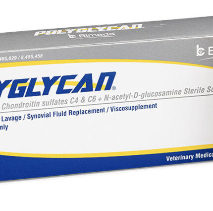 Buy Polyglycan 10ml Sterile Solution Online