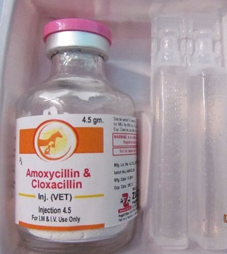 amoxy-Cloxa-inj-1-1-e16161836016.jpg