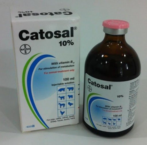 catosal-100ML-1.jpg
