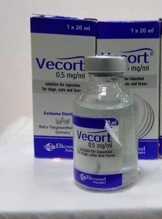 VECORT