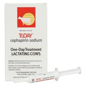 Today (Cephaperin Sodium) One-Day Treatment Lactating Cows