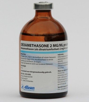Dexamethasone 2 mg/ml 100 ml