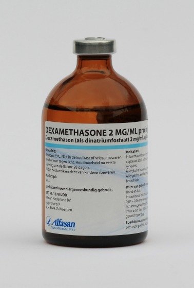 dexamethason_pro_inj_1.jpg