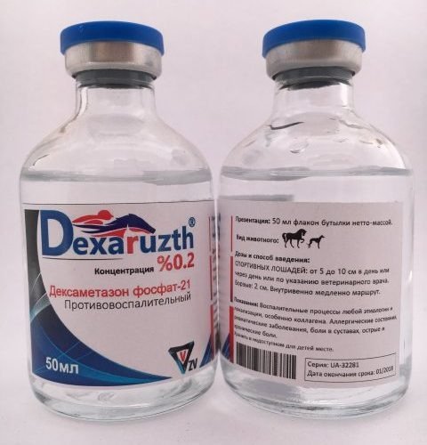 dexaruzth.jpg