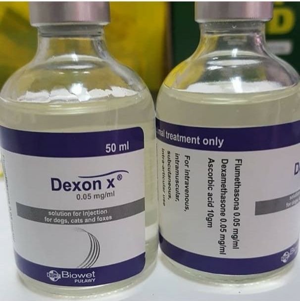 dexon-x-50ml.jpg