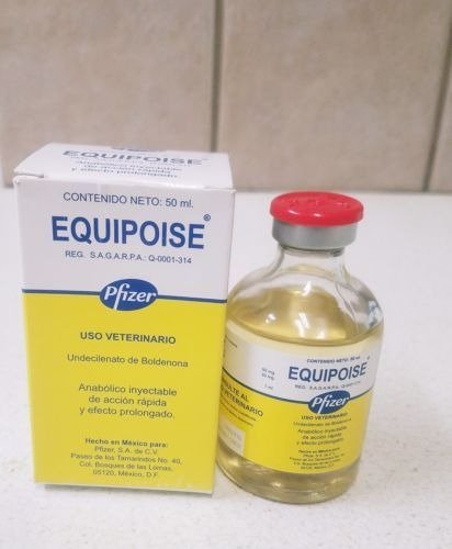 equipoise-1.jpg