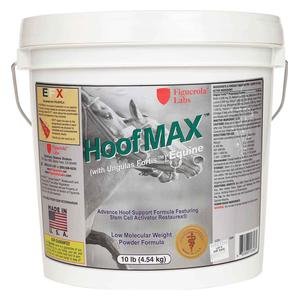 HoofMax Equine with Ungulas Fortis for Horses