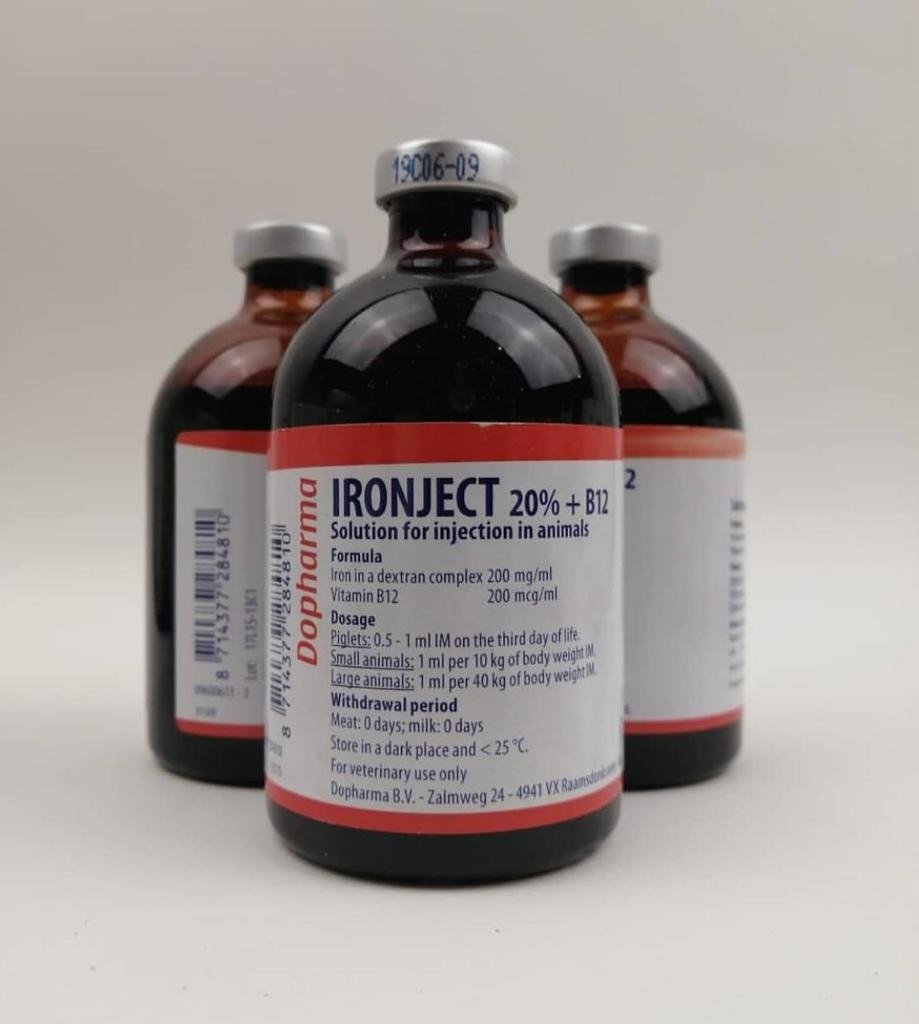 ironject-20.jpg