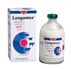 longamox-1.jpg