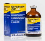 Buy Noromycin 300 LA Injectable Solution Online