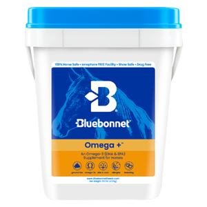 Omega + Horse Supplement