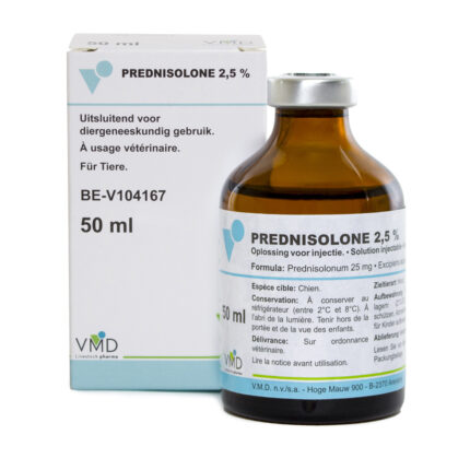Buy Prednisolone 2.5 % Injection Online