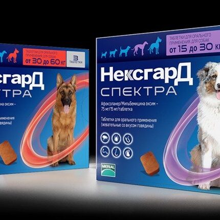 Nexgard Spectra