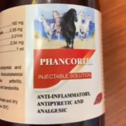 Buy Phancortil Injectable Solution Online - Phancortil Injectable Solution For Sale