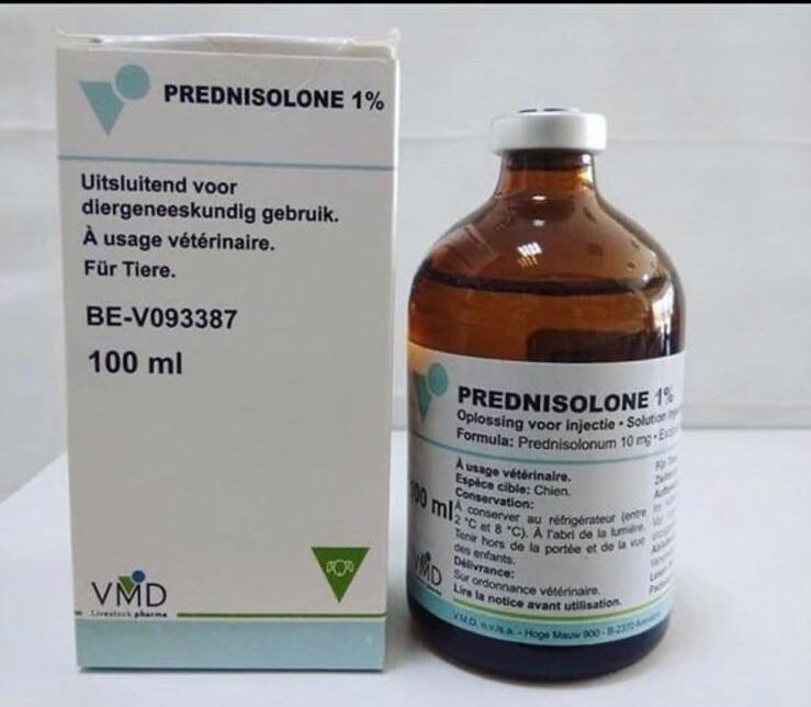 Prednisolone 1% Injection 100ml Buy Prednisolone 1% Injection 100ml Online - Pet Well Global