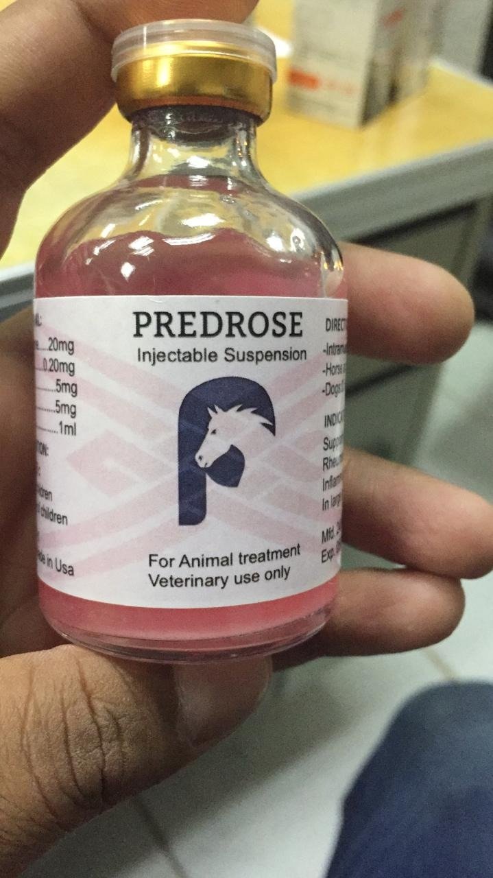 predrose-injectable-1.jpg