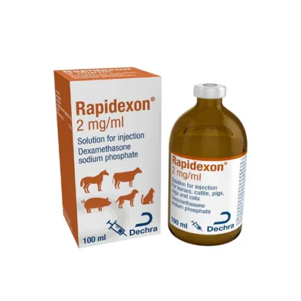 Buy Rapidexon –2ML Online for Sale | Dexamethasone Injection | Pet Well Global
