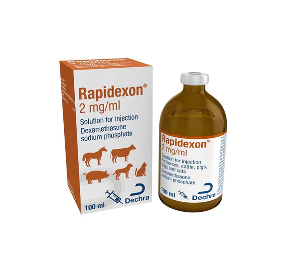 Buy Rapidexon –2ML Online for Sale | Dexamethasone Injection | Pet Well Global Buy Rapidexon –2ML Online for Sale | Dexamethasone Injection | Pet Well Global