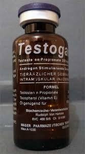 testogar.jpg