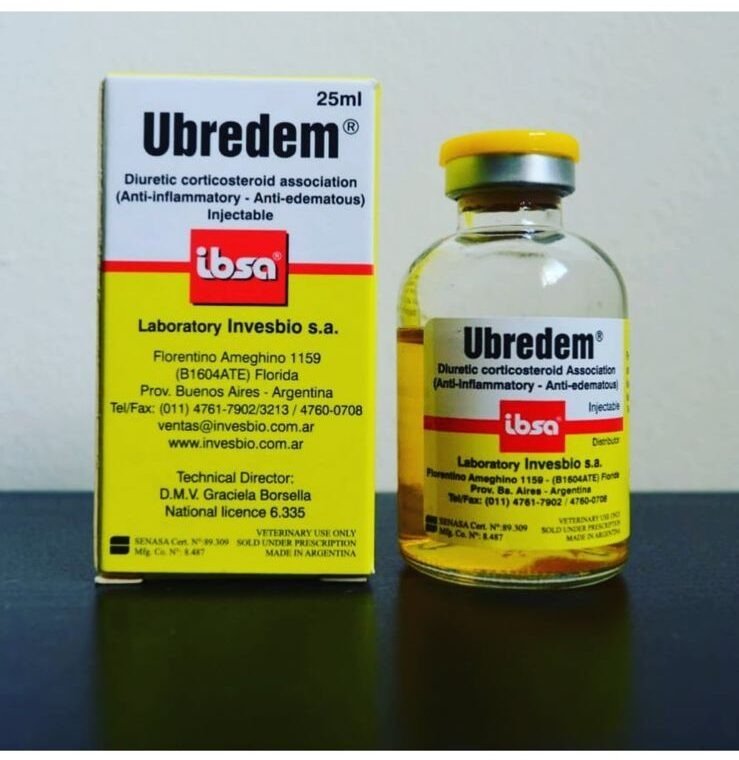 ubredem-e1629401862905.jpg