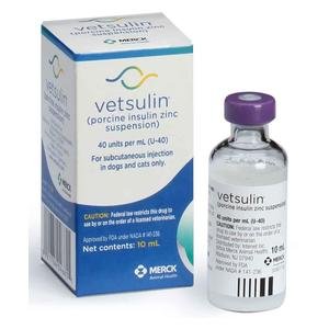 Vetsulin Insulin for Dogs and Cats